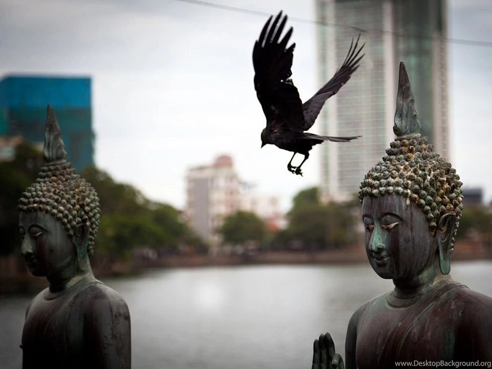 Buddha Picture – Sri Lanka Wallpapers National Geographic Photo ...