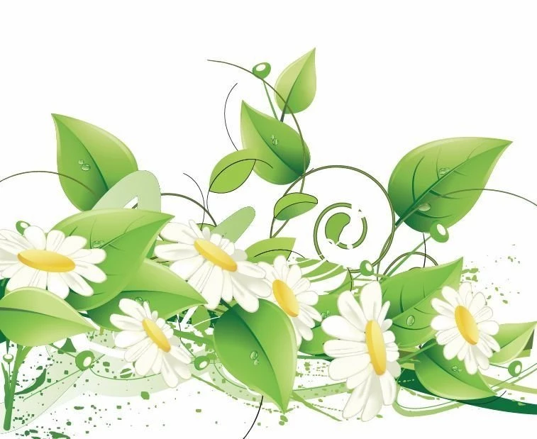 Elegant Floral Vector Backgrounds
