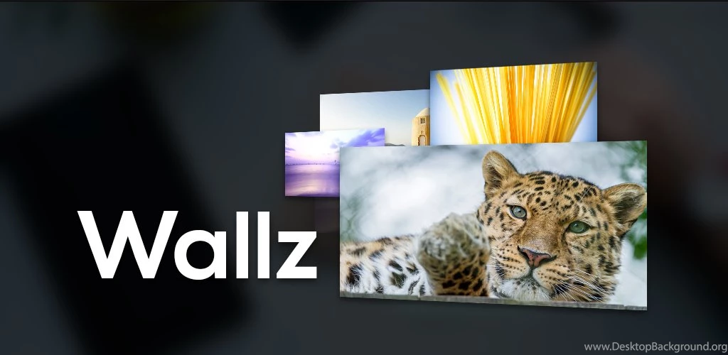 Wallz: Wallpapers APP   1.000.000+ Wallpapers…