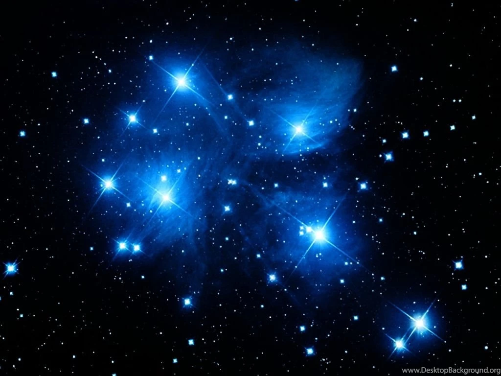 Blue Stars – BUZZERG
