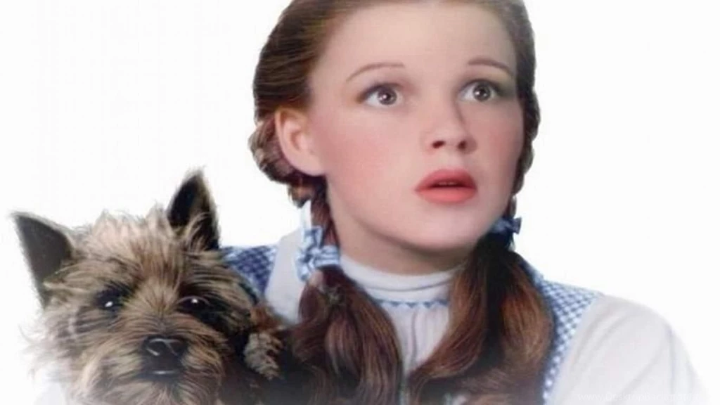 DOROTHY AND TOTO THE WIZARD OF OZ WALLPAPER   (