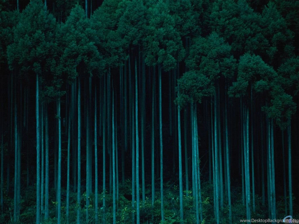 Teal Green Wallpapers   Wallpapers High Definition