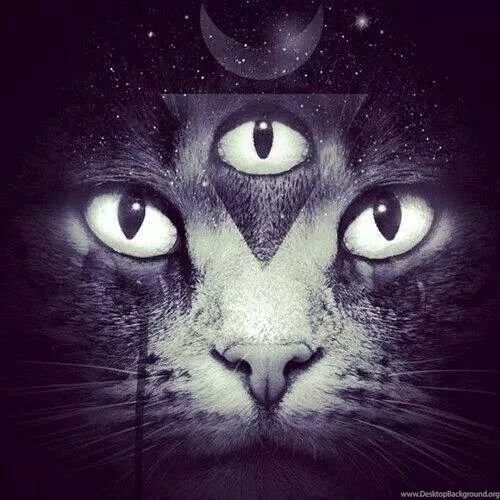 3rd Eye Kitty