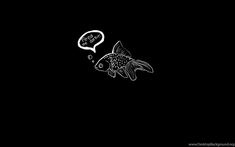 Goldfish Wallpapers By RamenWarrior On DeviantArt