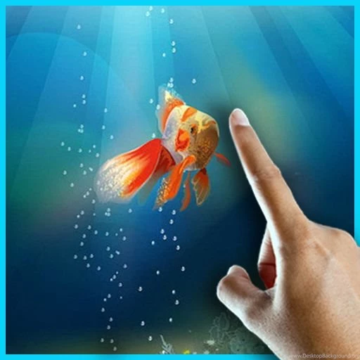 Wackiapps