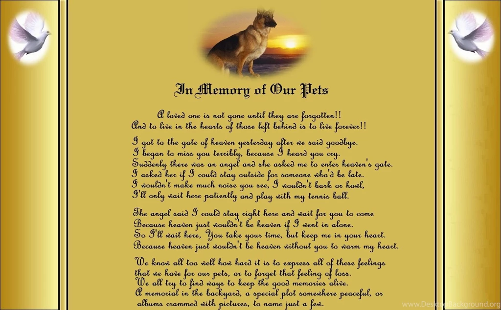 Other: Memory Pets Usmc Marines Recon Marine Corps Free Download ...