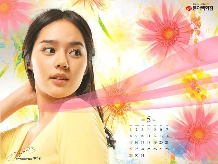 South Korean Model   Han Ga In Pictures 5   Wallcoo.net