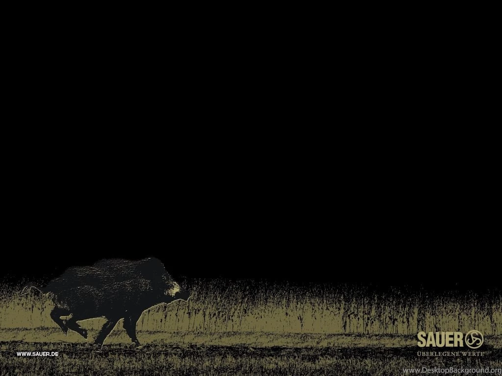 SAU 02466_Wallpaper_1024x768_6.jpg