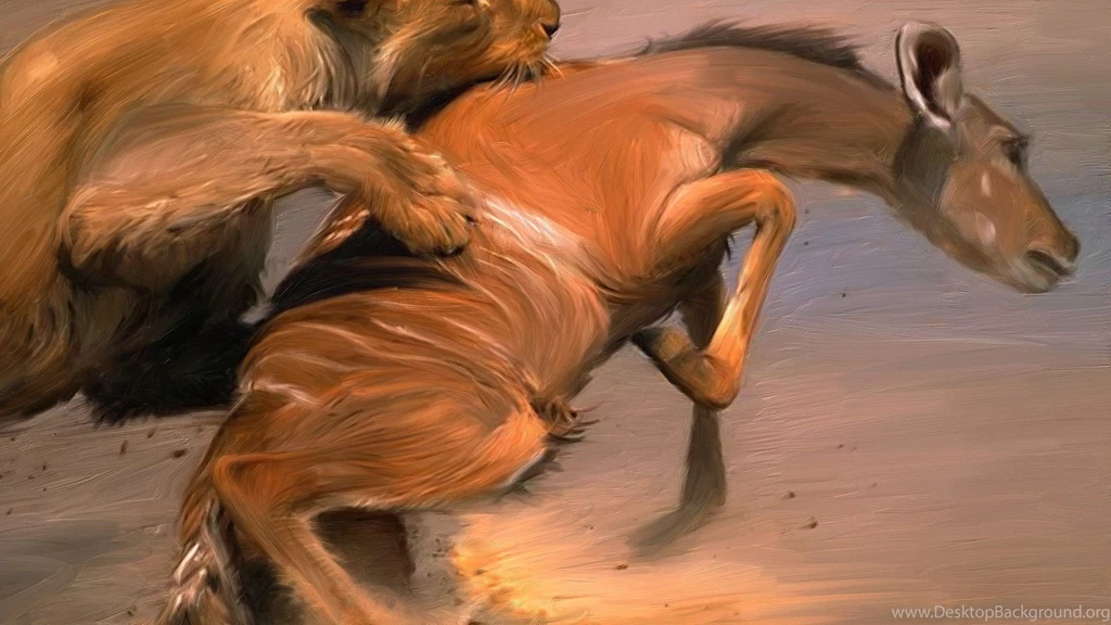 Lion Hunting HD Wallpapers