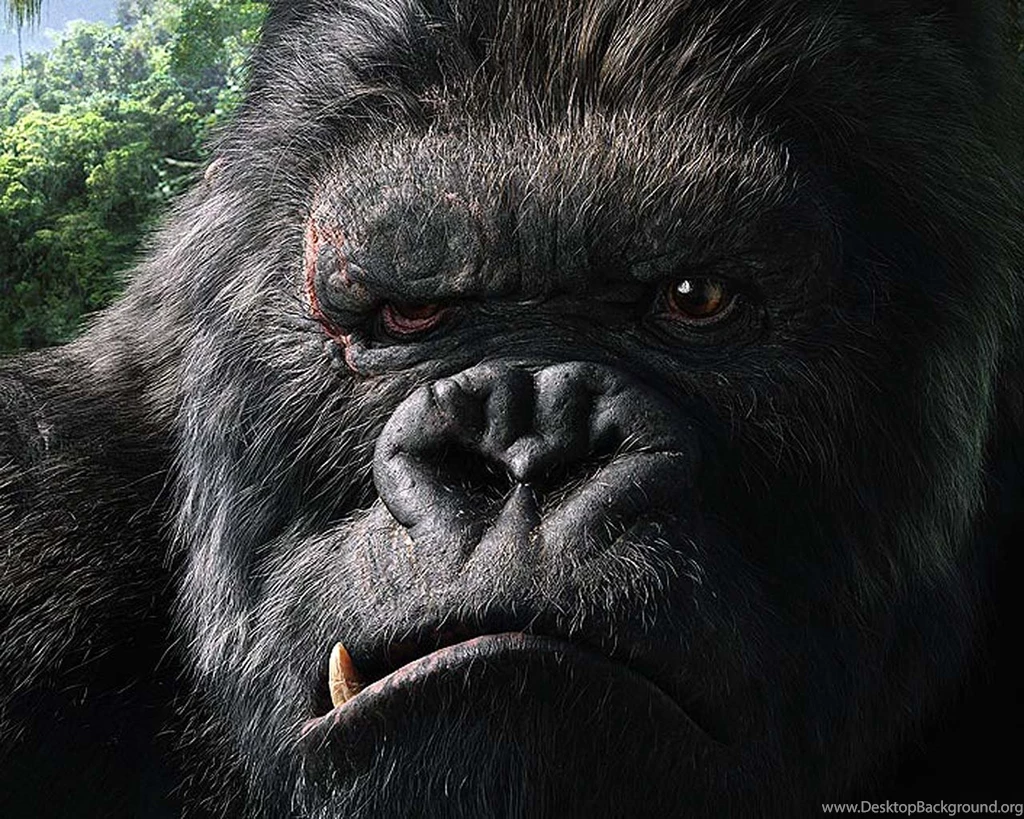 King Kong Wallpapers Wallpapers Movie Extras Movies Virgin ...