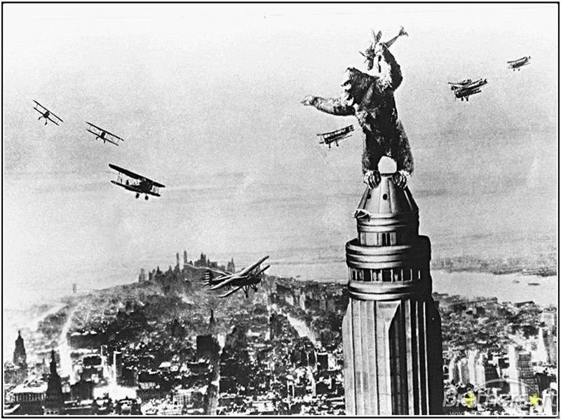 Download Free KING KONG Wallpaper, KING KONG Wallpapers Download