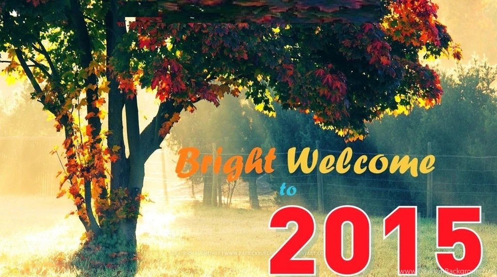 Happy New Year 2015 Wallpapers