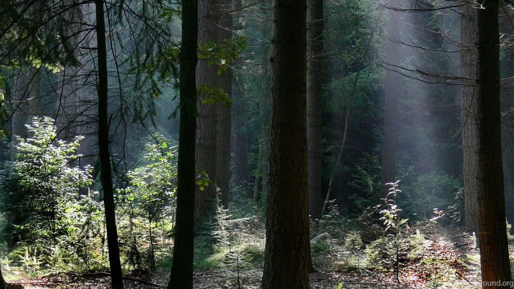 Horror Wallpapers — Free Full HD Wallpaper. Widescreen HQ Desktop ...