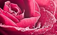 Top Wallpapers For Your Computer Desktop « Image World
