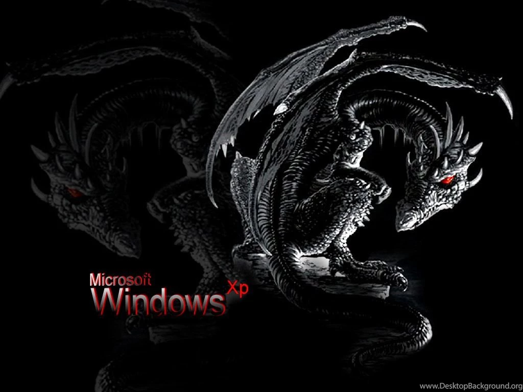 Dragon 3D Wallpapers Wallpapers HD Wide