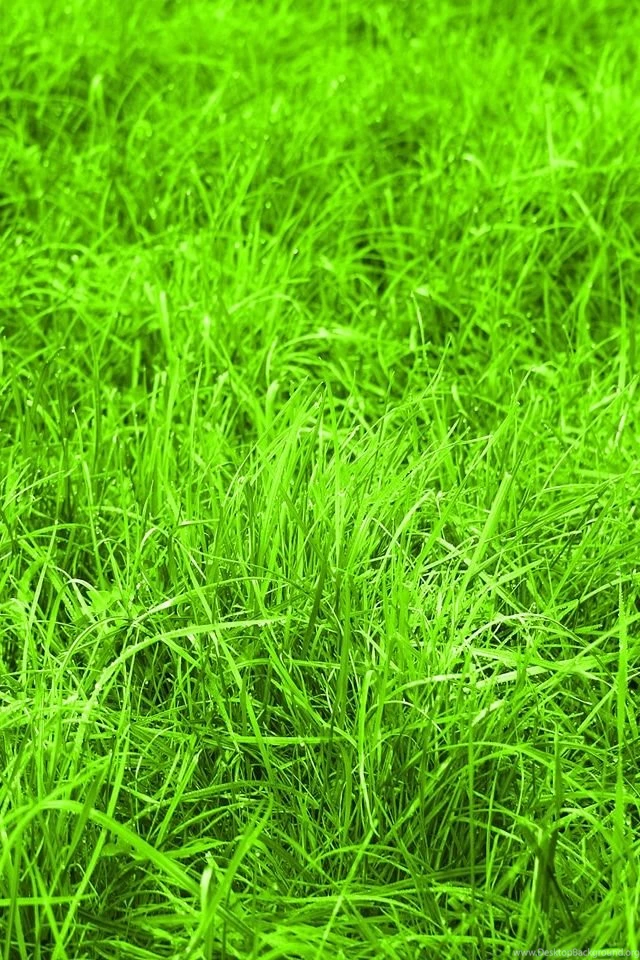 Mobile Wallpaper,download Free Wallpaper,free Images