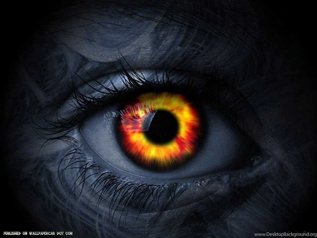 FunXone Amazing 3D Wallpapers Wallpapers Mela