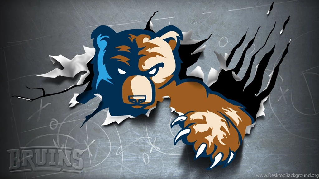 Lindsey Bruins   Pictures, News, Information From The Web