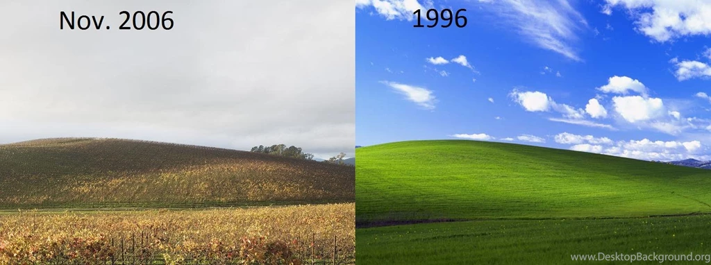 TIL That XP's Wall Paper Bliss Was Taken In 1996, Here's A Picture ...