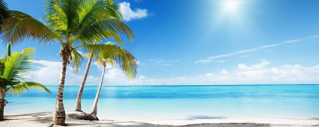 Tropical Beach Paradise Wallpapers