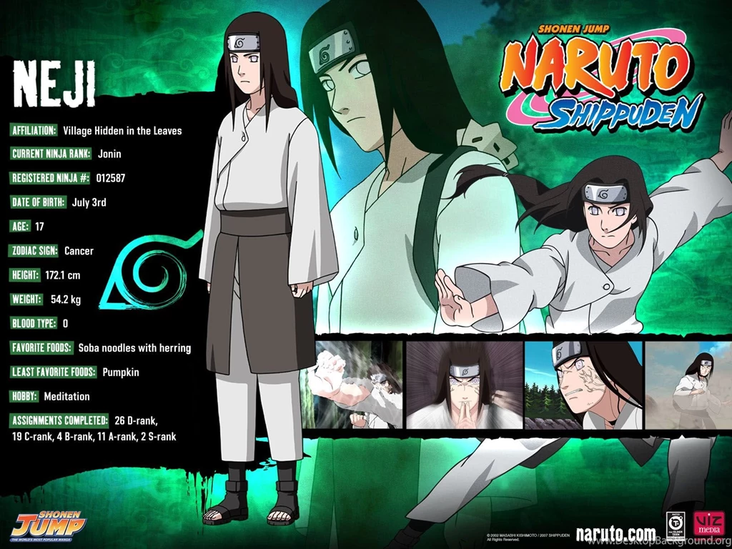 Naruto Shippuden Characters   Neji   1600x1200   Wallpapers