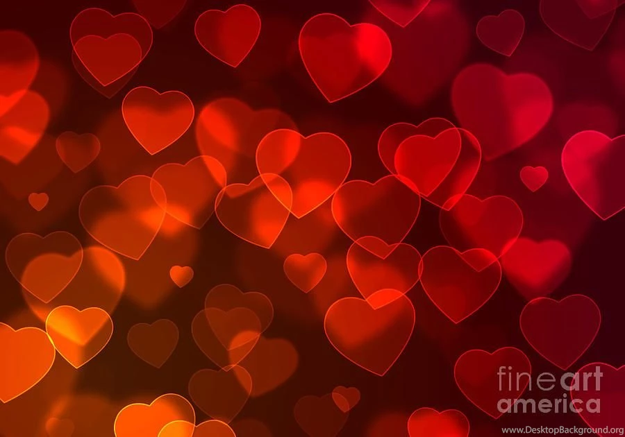 Hearts Backgrounds Photograph By Carlos Caetano