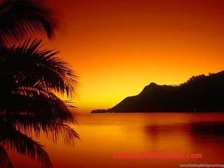 High Resolution Widescreen Wallpapers   ONLINE NEWS ICON