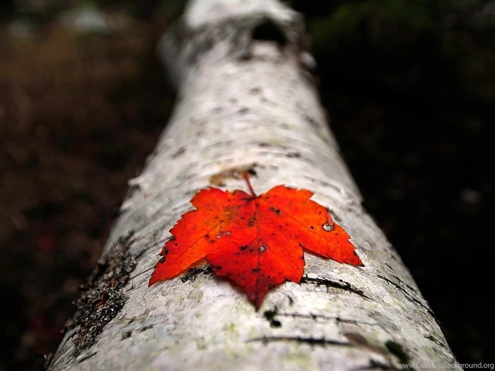 40 Breathtaking Photos From National Geographic Contest Noupe