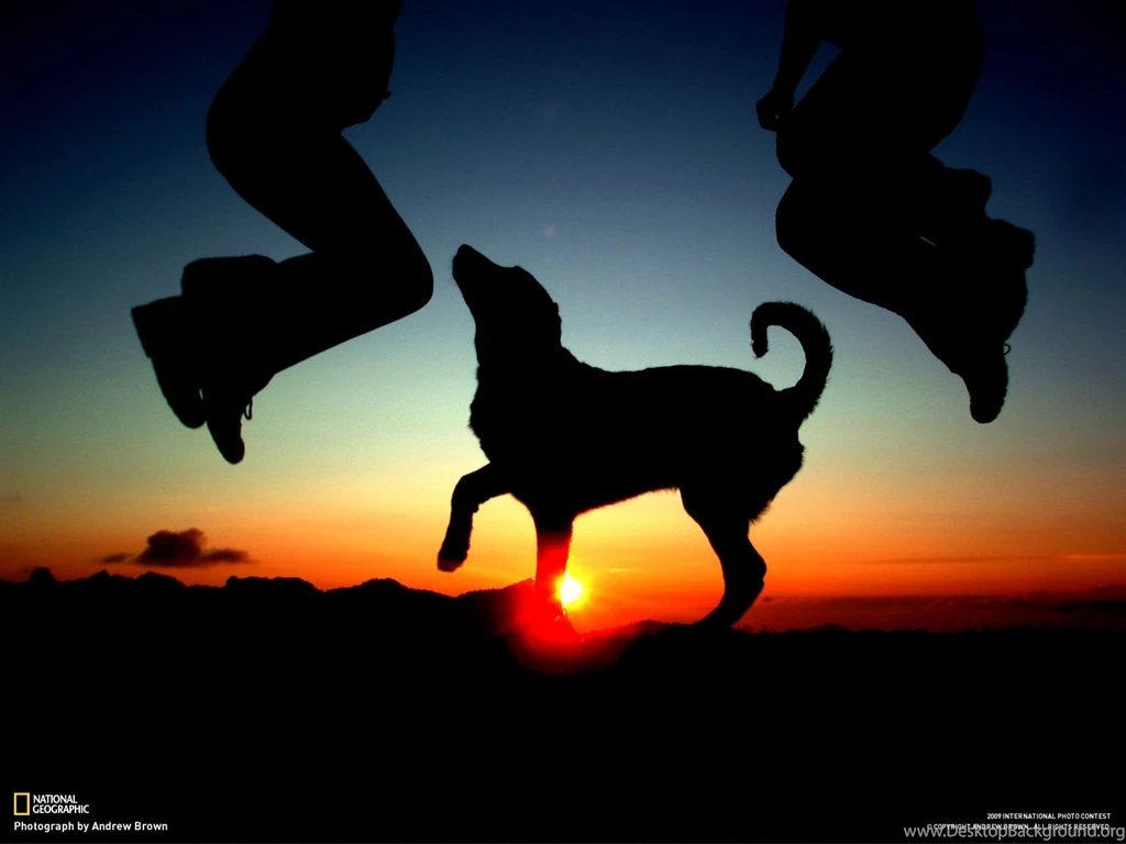 NAT GEO Wallpapers Collection 2