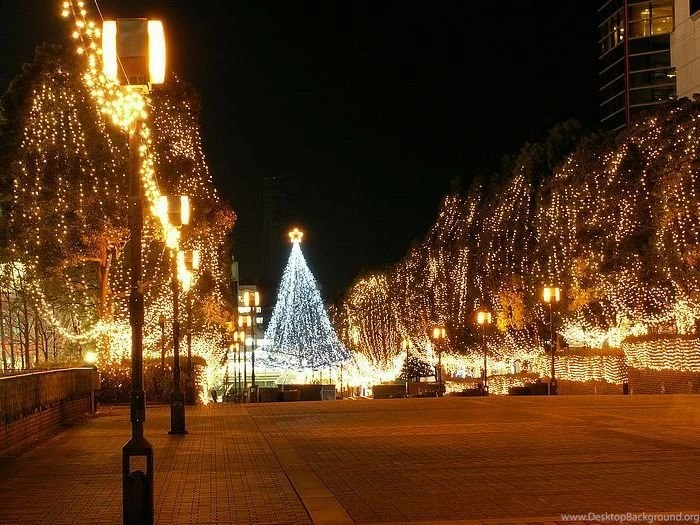 Flowers Wallpapers Desktop Backgrounds Full Screen   Flowers : Tree ...