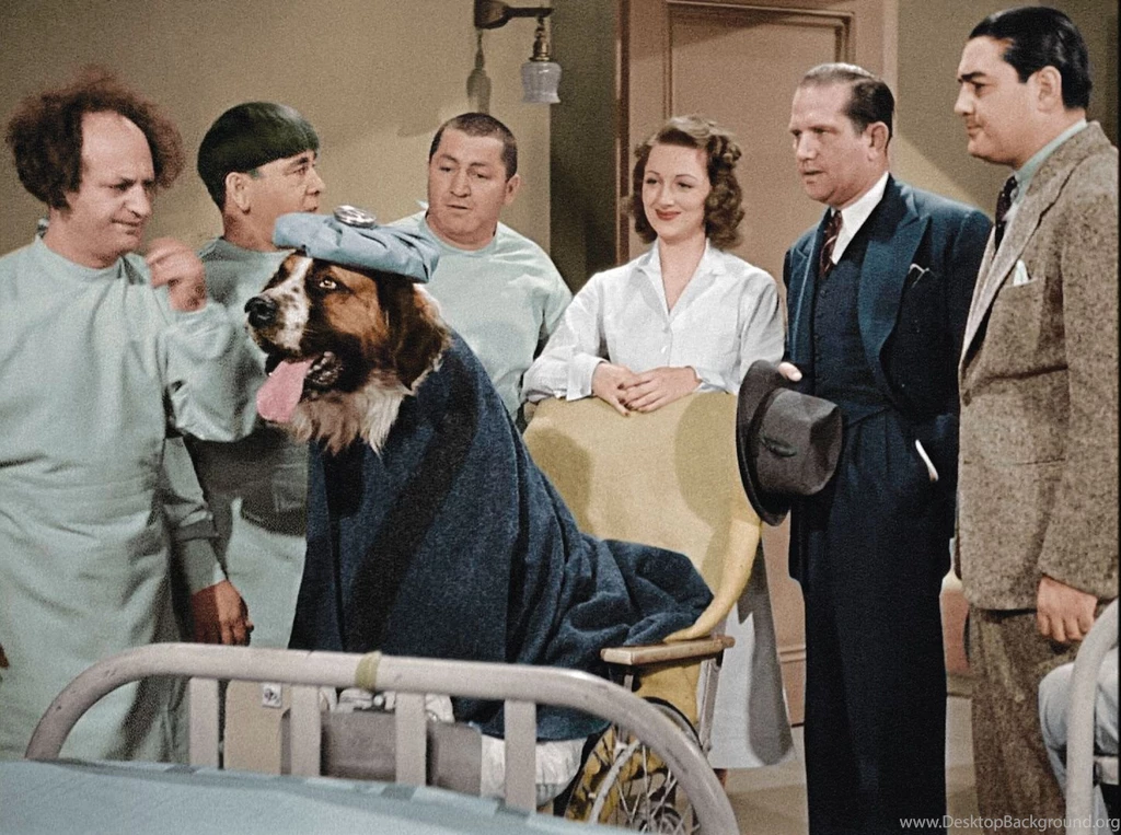 Three Stooges Wallpapers Three Stooges Photo (23436833) Fanpop