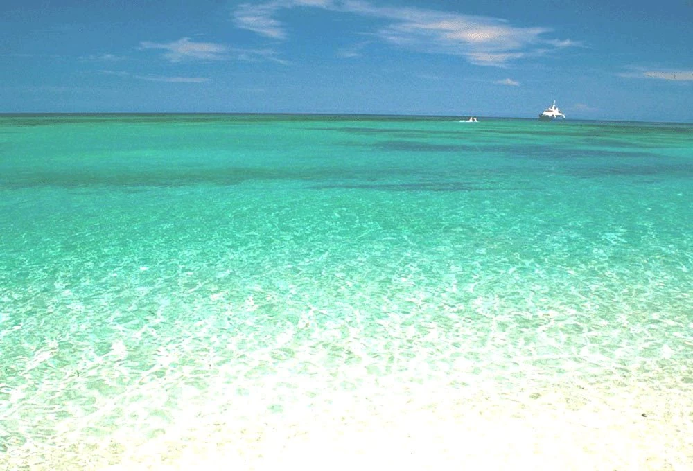 Amazing Beauty Of Sea Life: Beautiful Sea Wallpapers