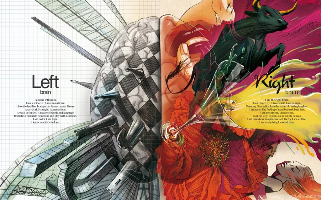 Left Brain Right Brain Wallpapers   Wallpapers Cave