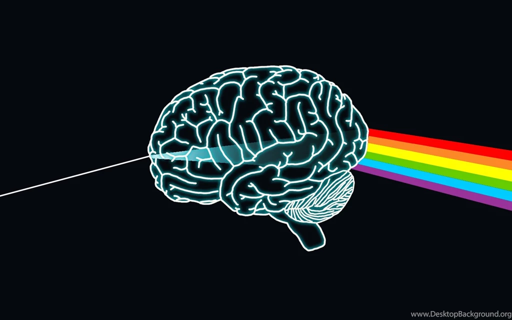 Pictures > Human Brain Wallpapers