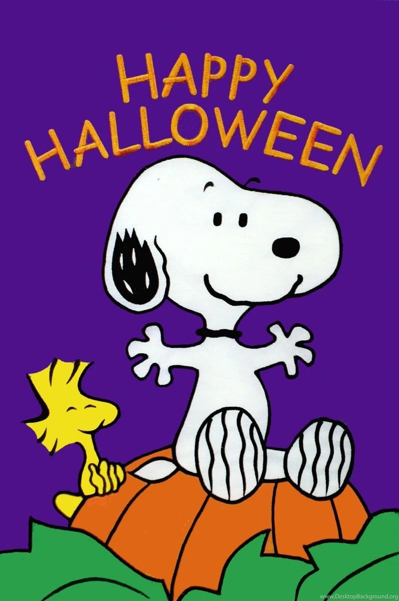 Snoopy Peanuts Flag