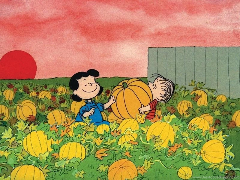 It's The Great Pumpkin, Charlie Brown Book Re Issued : People.com