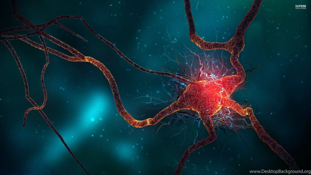 Brain Cell Wallpapers   3D Wallpapers