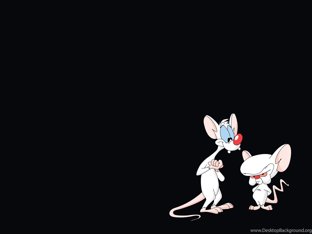 Pinky and the Brain Wallpapers.png