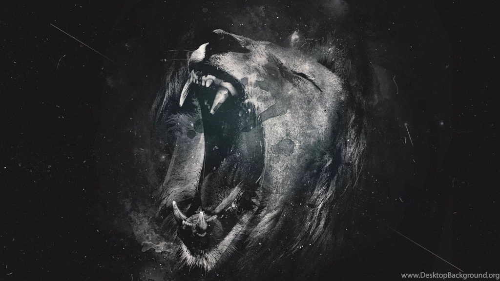 Lion Black And White HD Widescreen Wallpapers 6471   Amazing ...