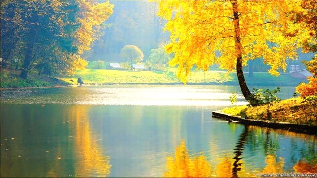 Cool Beautiful Wallpapers 2724   HDWPro