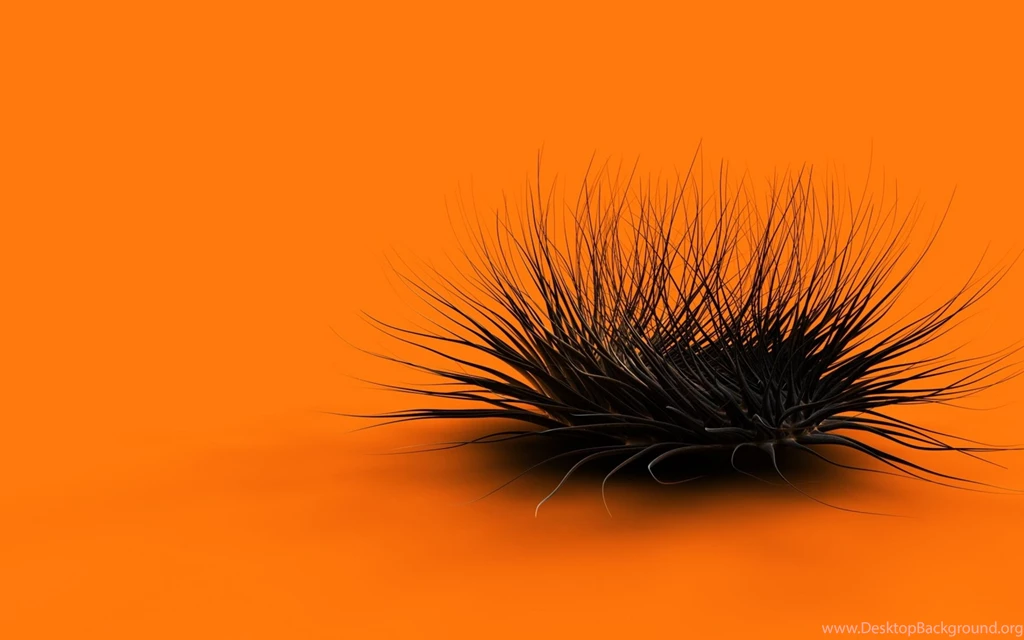 Download Wallpapers 2560x1600 Orange, Black, Feathers, Form ...