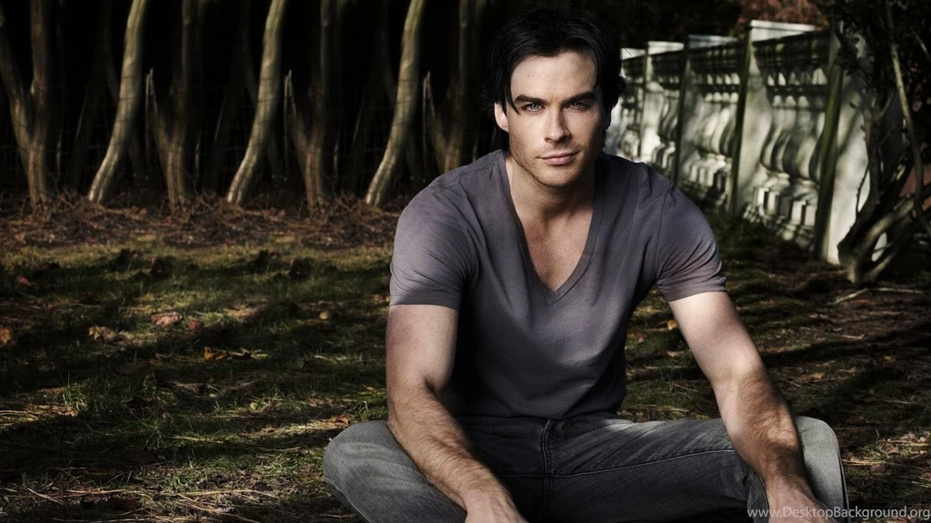 Wallpapers Damon Damon Salvatore Quotes Wallpapers (36948699) Fanpop
