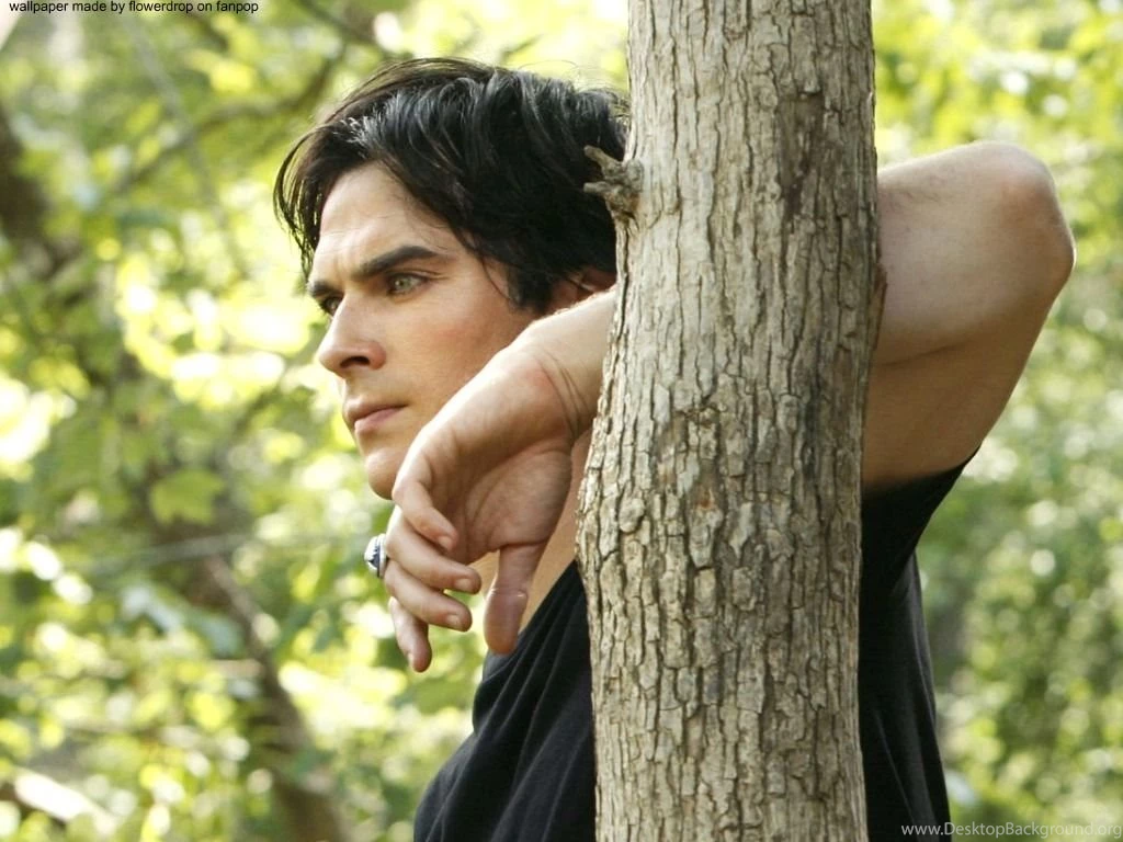 Damon Salvatore ✯ Damon Salvatore Wallpapers (28037560) Fanpop