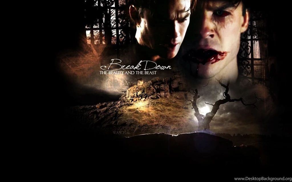 Damon Salvatore ✯ Damon Salvatore Wallpapers (24875228) Fanpop