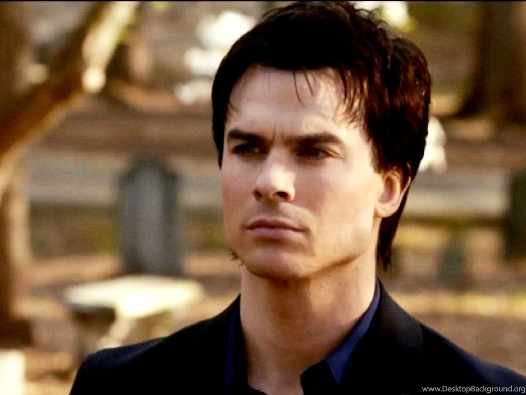 Wallpapers Damon Salvatore 1024x768