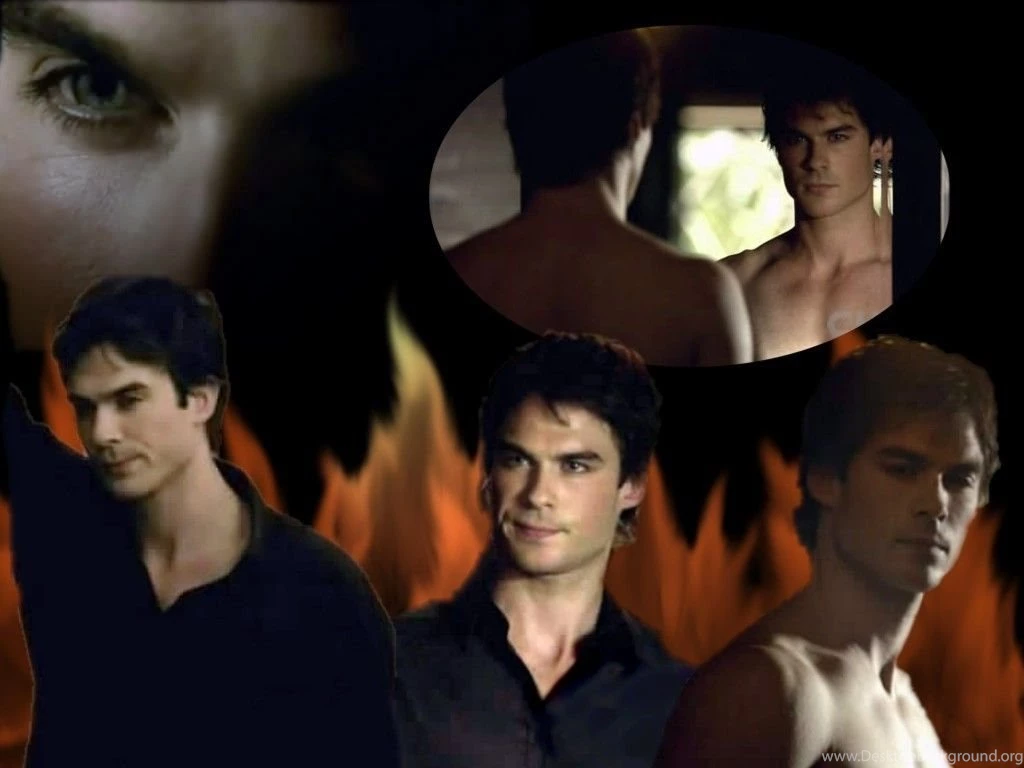 Damon Wallpapers Damon Salvatore Wallpapers (8896258) Fanpop