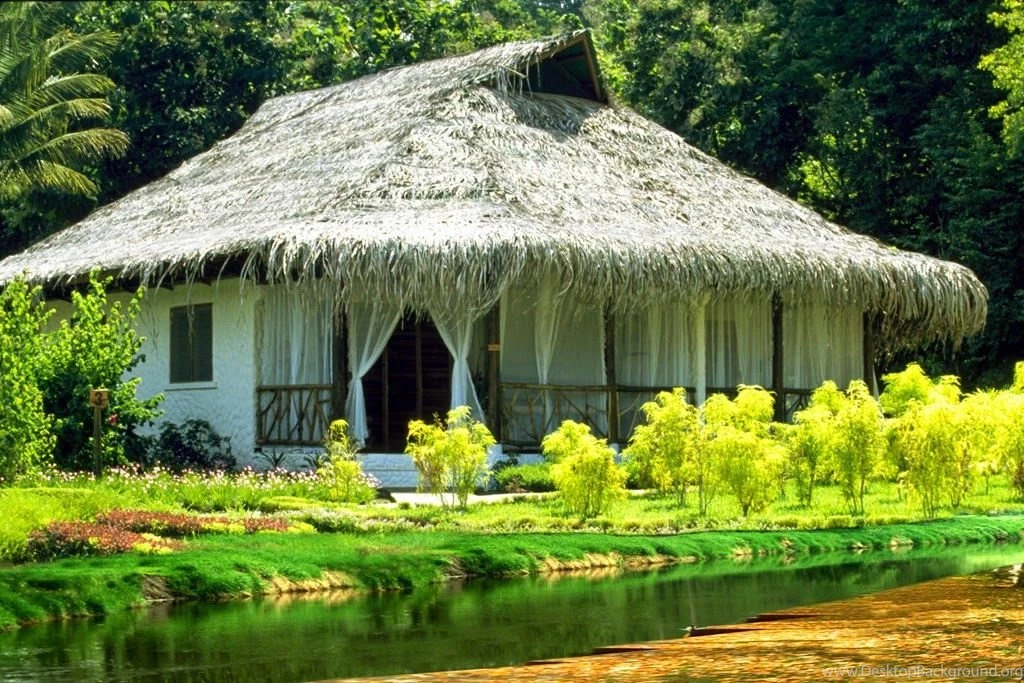 Full HD Nature Wallpapers Free Download For Laptop PC Desktop ...