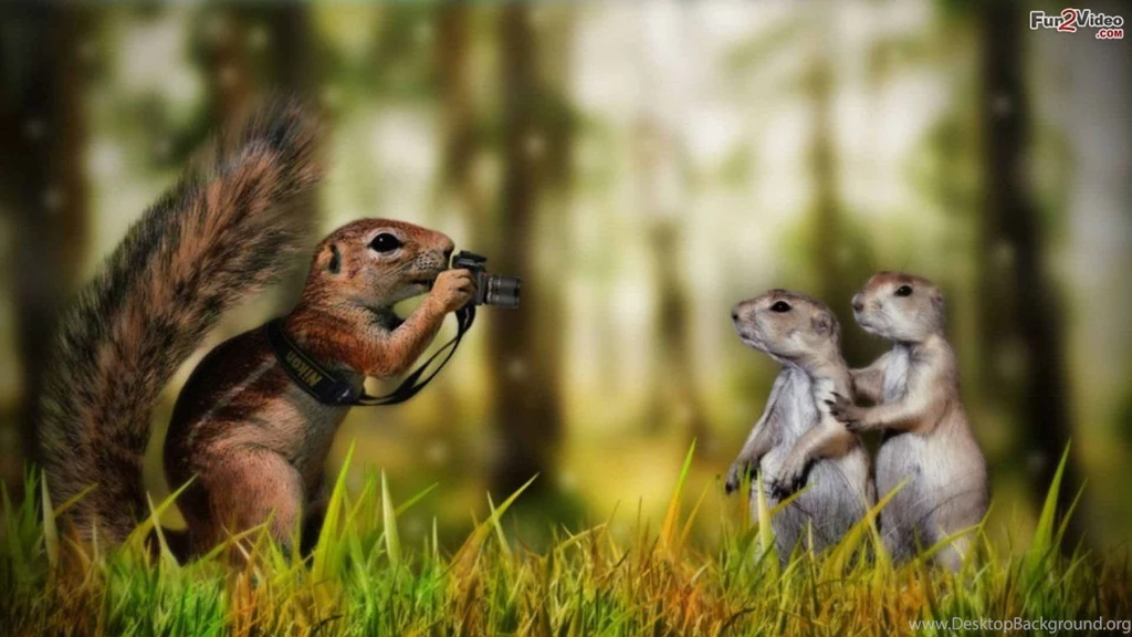 Funny Wallpapers Pictures Download AF7