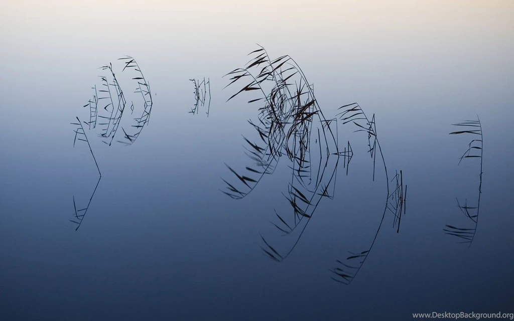 36 Mac OSX Snow Leopard HD Wallpapers   Wallpapers   TechMynd