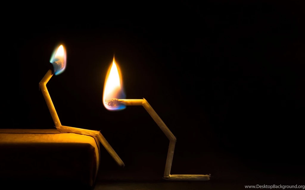 Funny Wallpapers High Quality